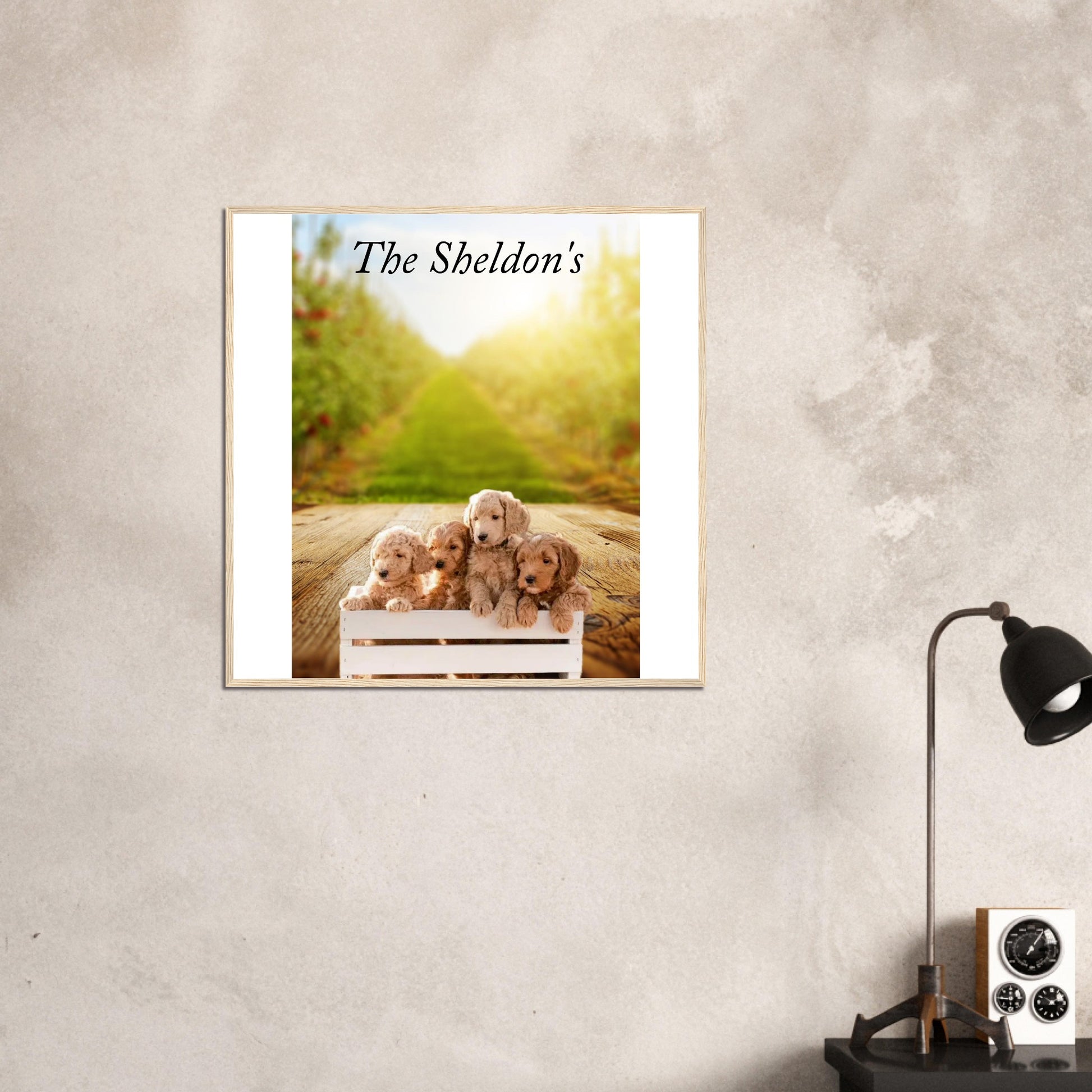 1a555f3c-8a24-4ed2-bf0c-c2209e3edd42