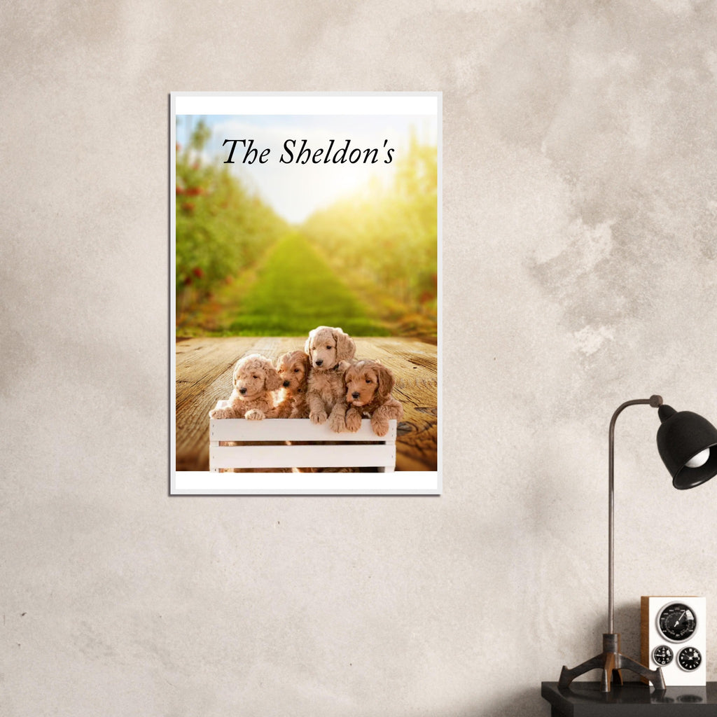 1f74b104-c09e-40a1-8467-1058094f57a9