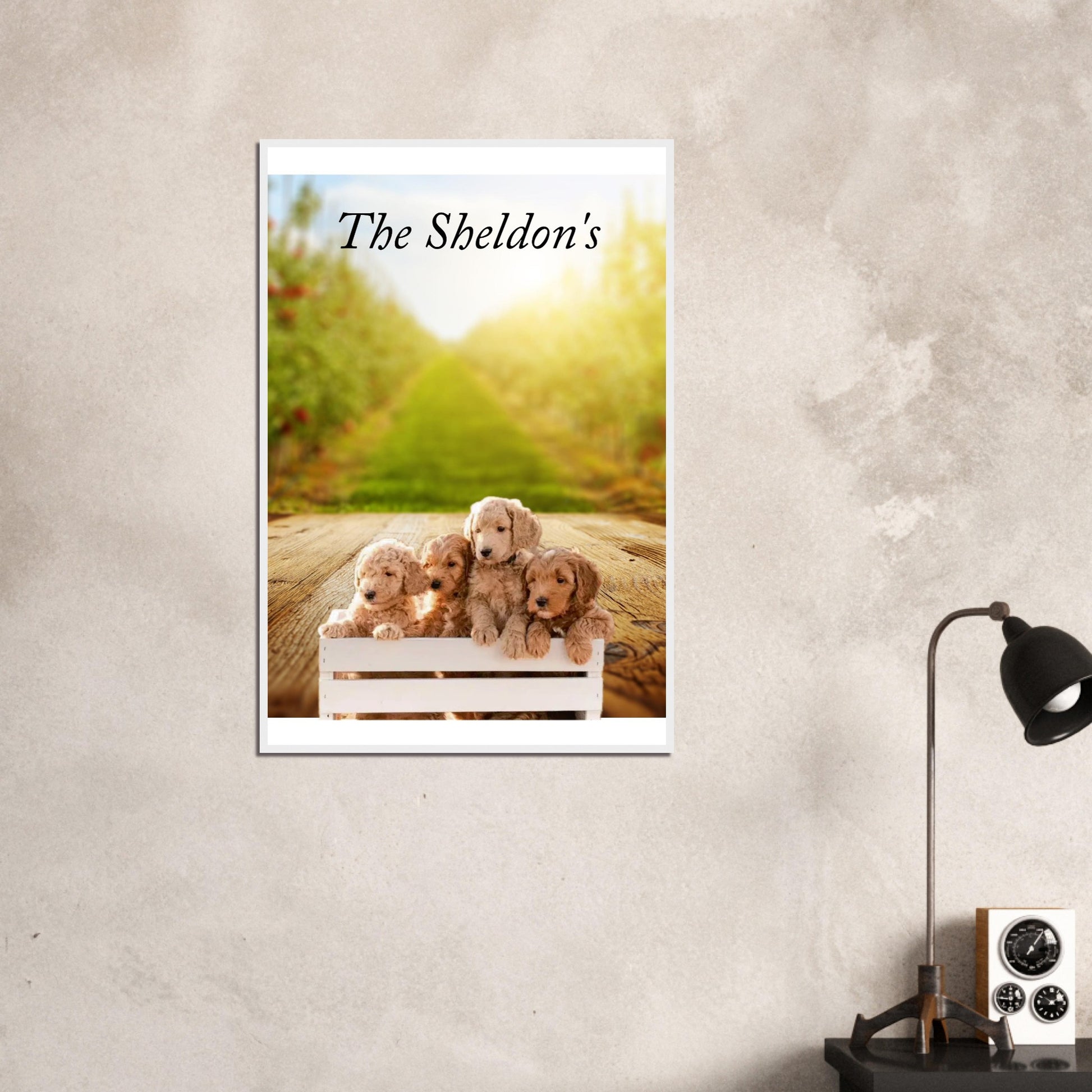 1f74b104-c09e-40a1-8467-1058094f57a9