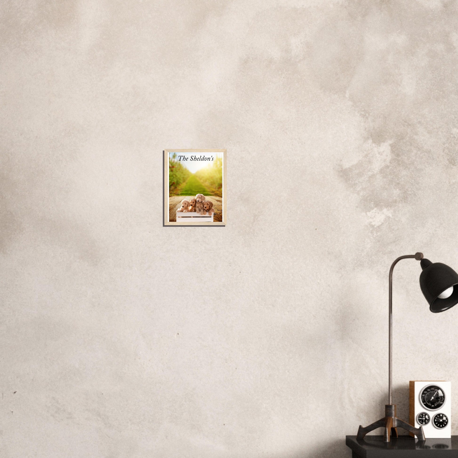 2e24c79f-aac9-4fe7-9261-a289b6d038c0