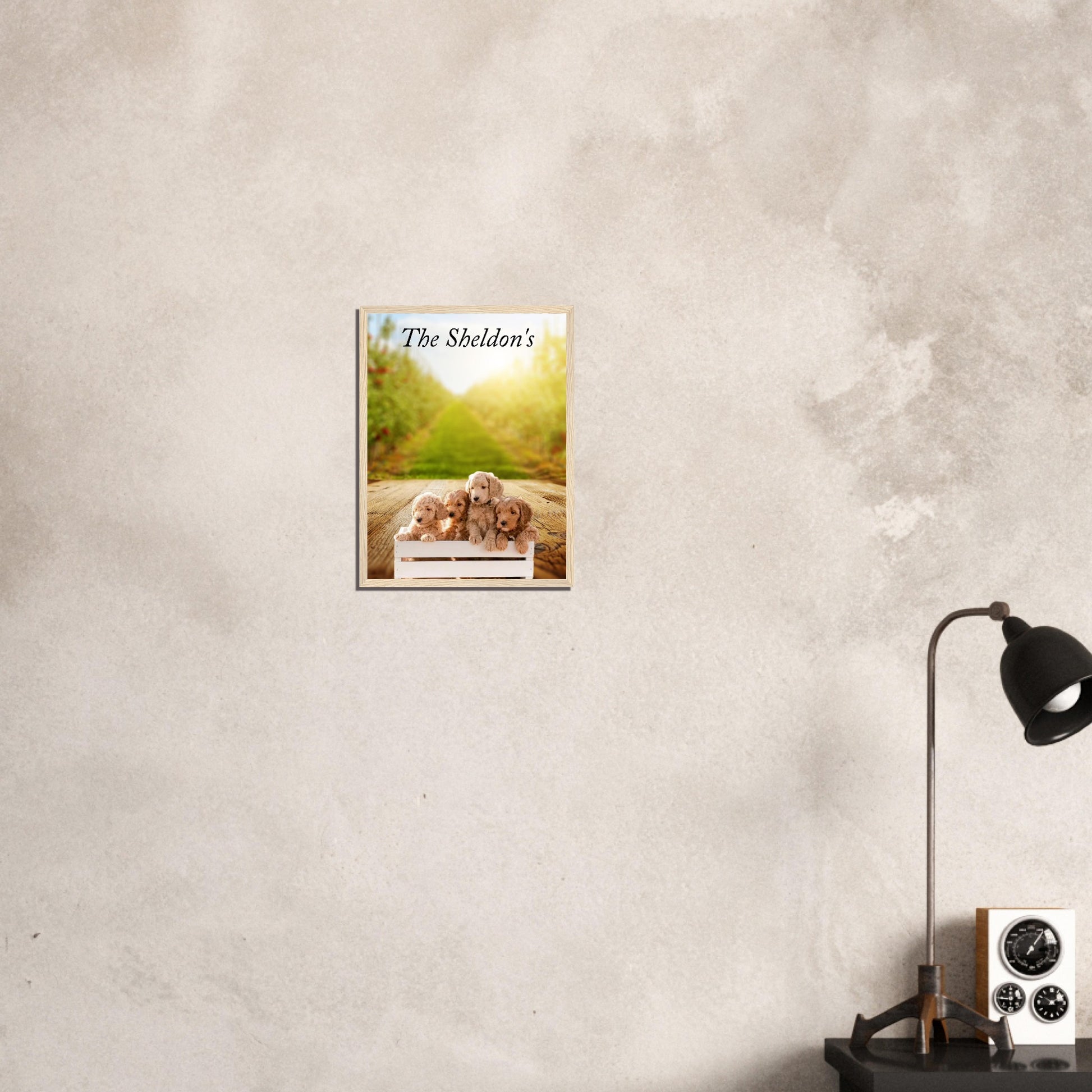 36a8e1b1-49d1-4427-9ff9-5c404bdf7fca