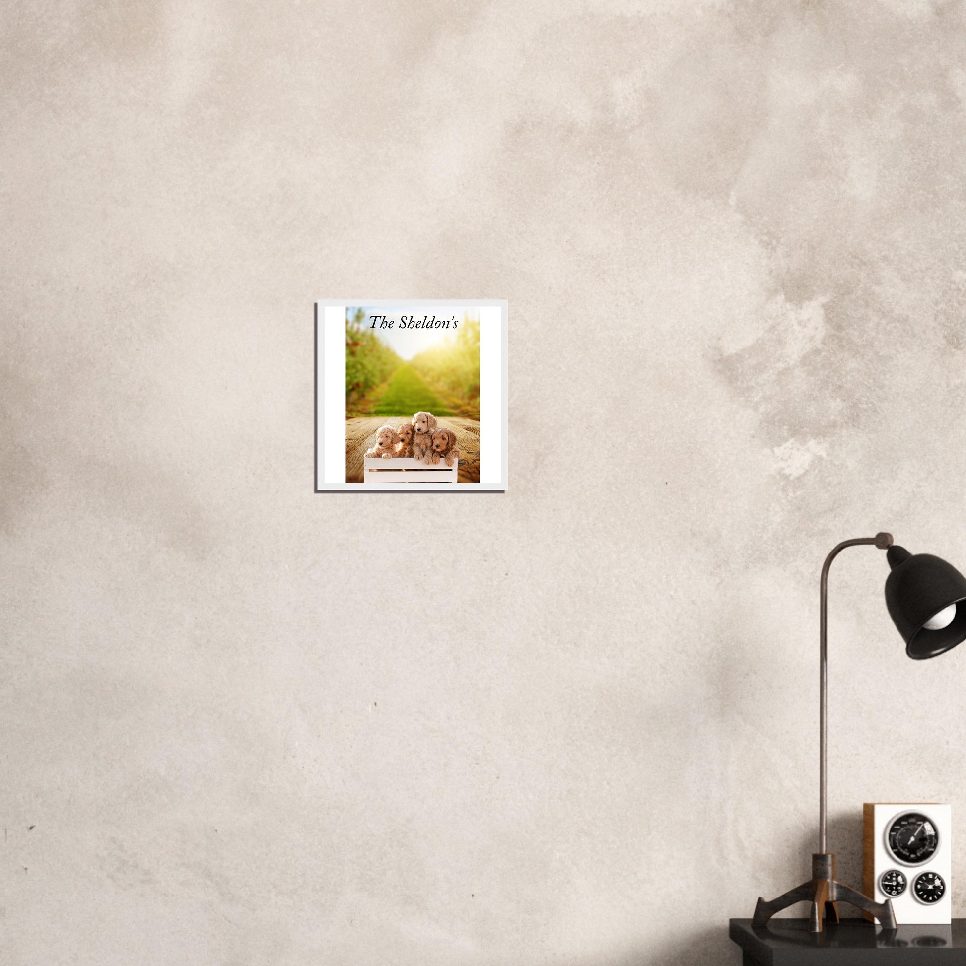 4a8e00ab-ce37-4992-8411-2fa8461f8696