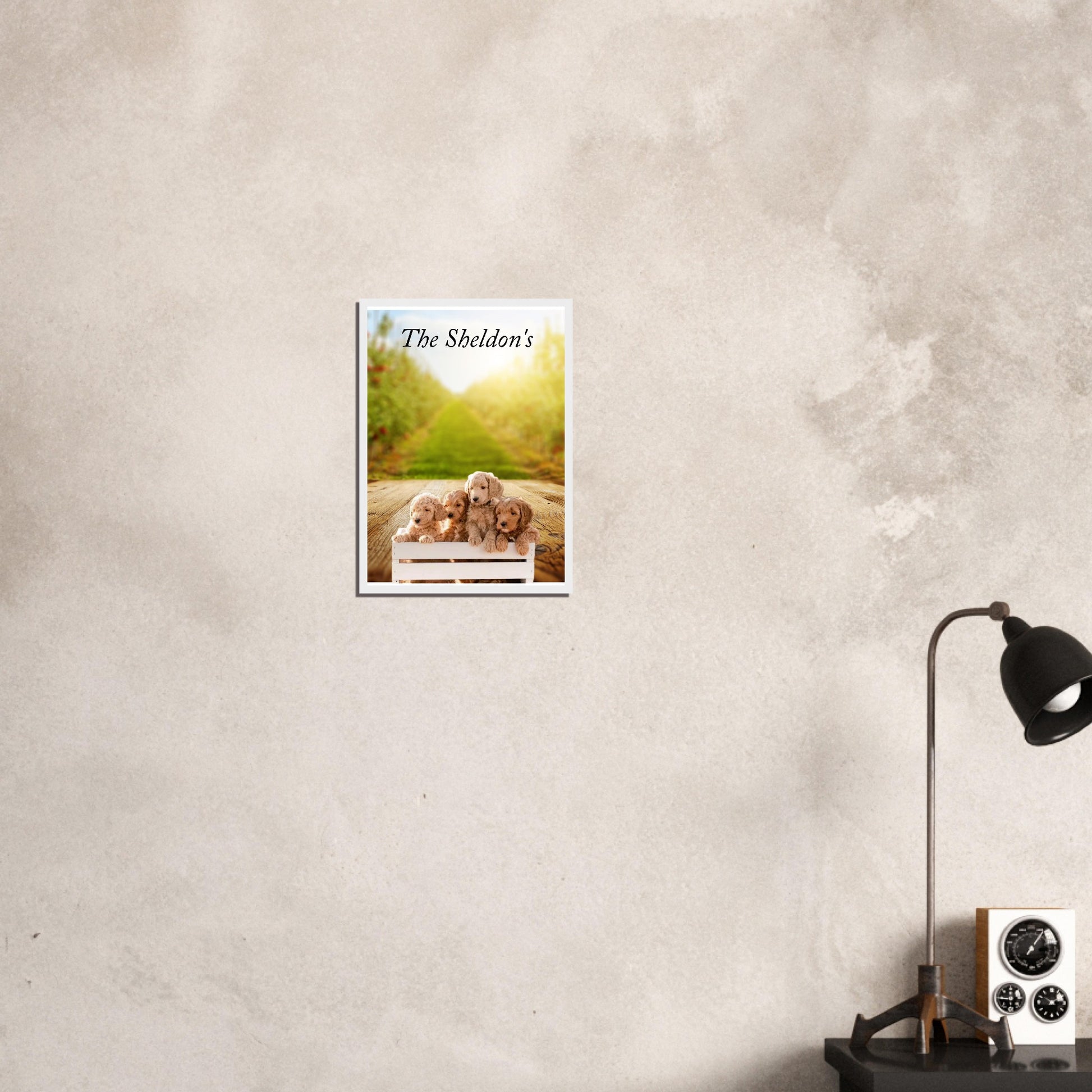 53a54aa5-6d67-44a2-b830-e44566e16458