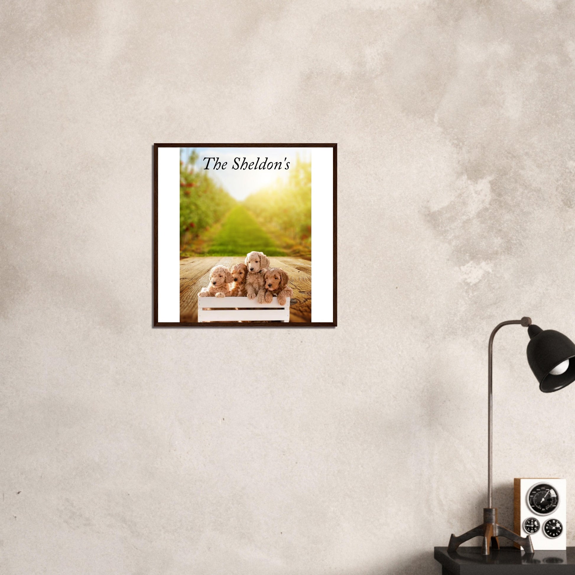 54ebf2d3-5f57-473e-8b7e-af3b37b3d005