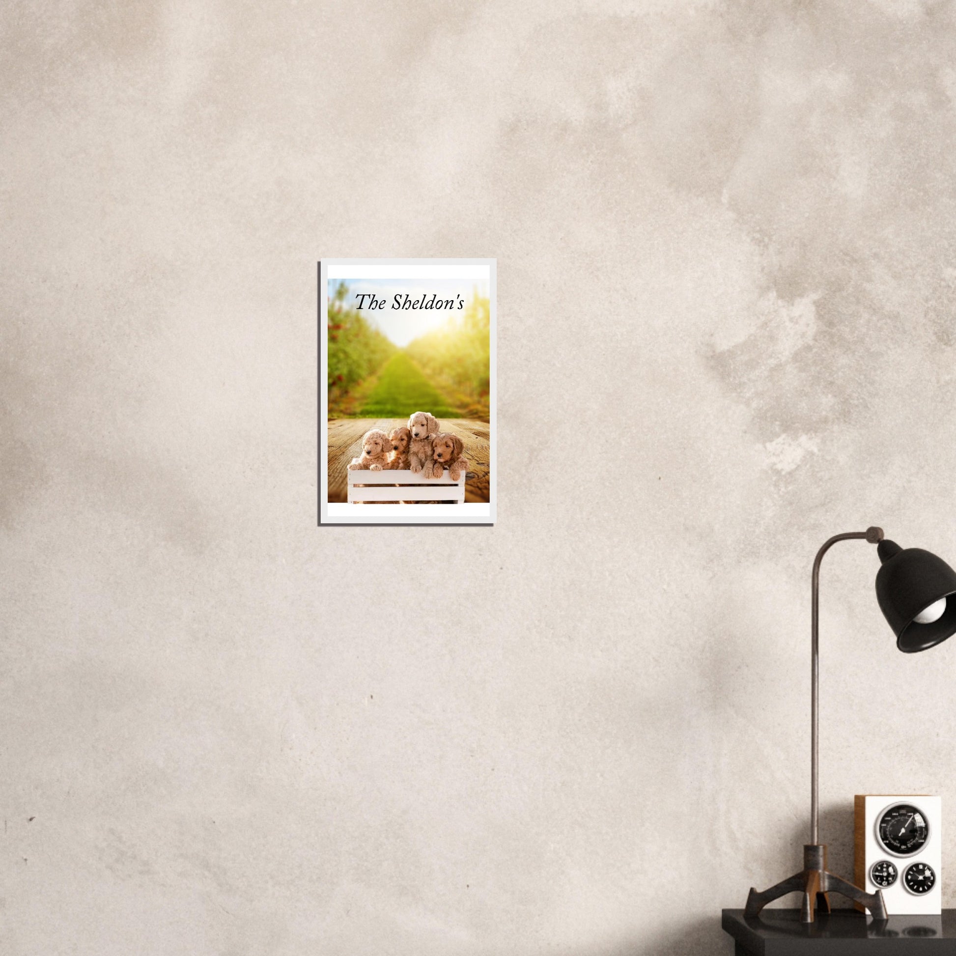 987bfb35-ee8d-4aba-9d41-8f67782c3f1b