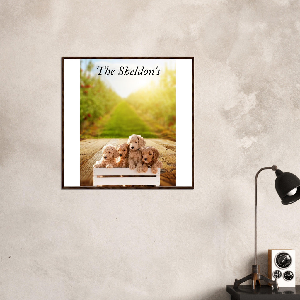 a9c060da-72cb-4cd4-941e-78dfbcb729c1