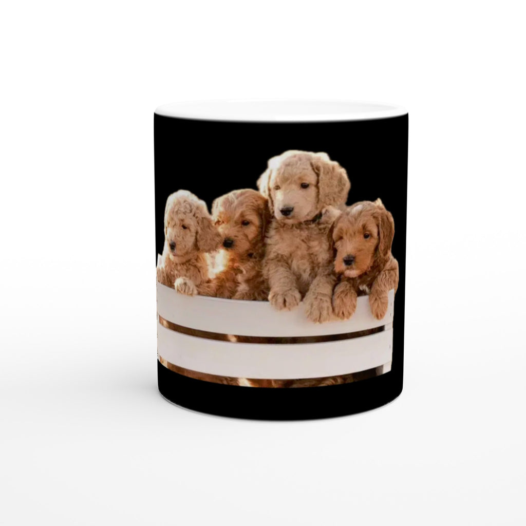 b8ac6396-a685-4c69-879c-79ac159ce8c2