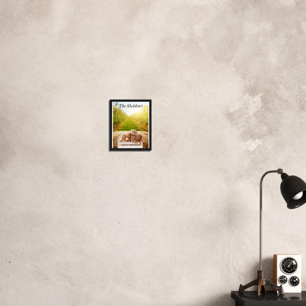 c84b99b0-cf71-492c-8d07-d04a3ddcf87a