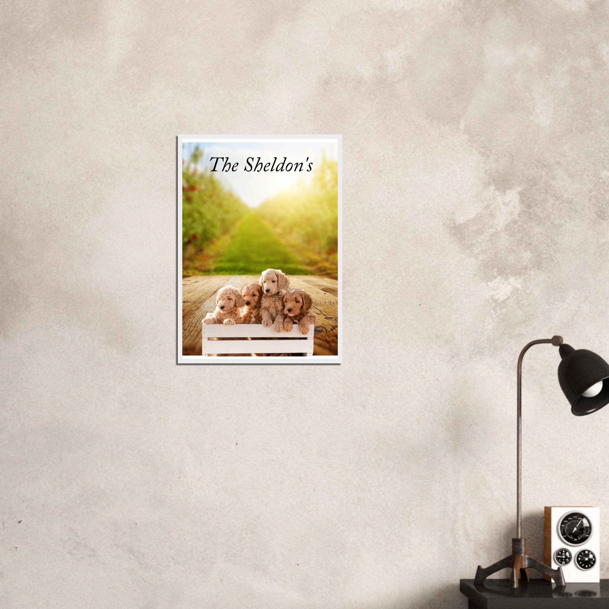 ca0f8fc7-e7cf-4634-bf2a-1ef8e4d80d24