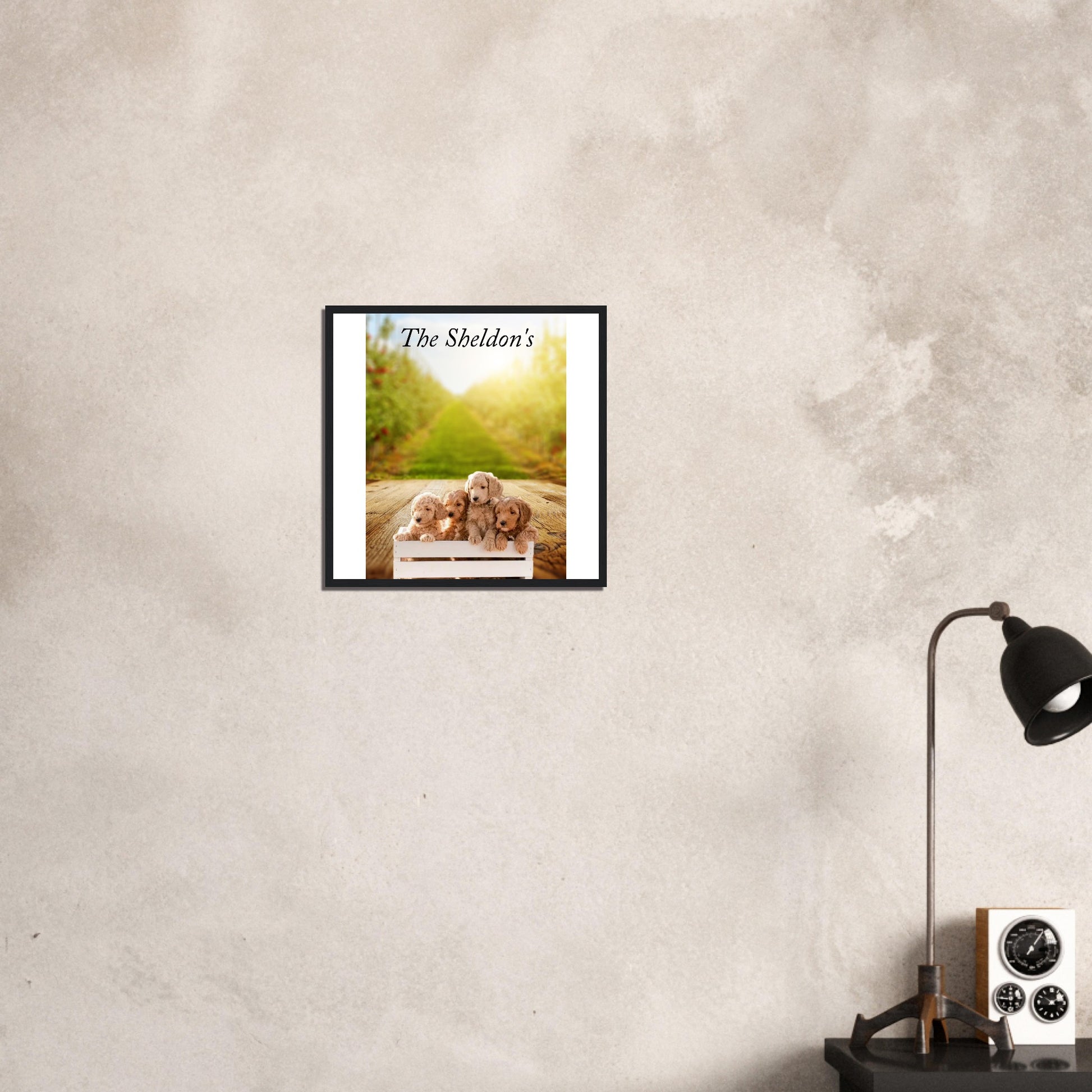 e4970e11-80ed-4528-857b-1d8f51906956